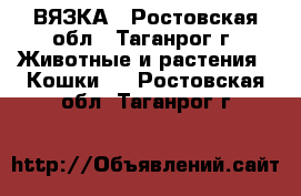 ВЯЗКА - Ростовская обл., Таганрог г. Животные и растения » Кошки   . Ростовская обл.,Таганрог г.